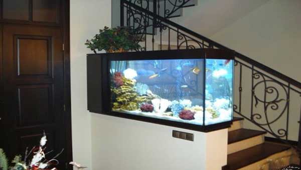 Преимущества владения аквариумом