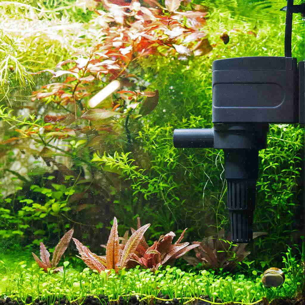 Как улучшить циркуляцию воды в аквариуме