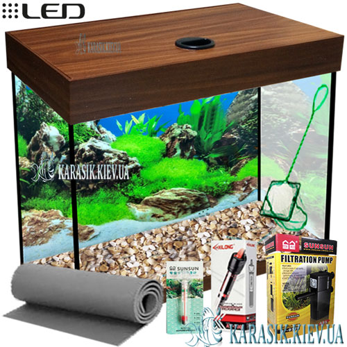 Aquarium-Nut_2.jpg
