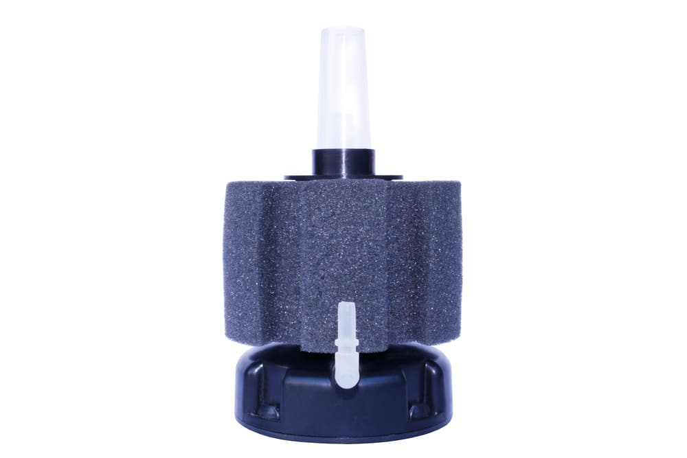 sponge filter 2