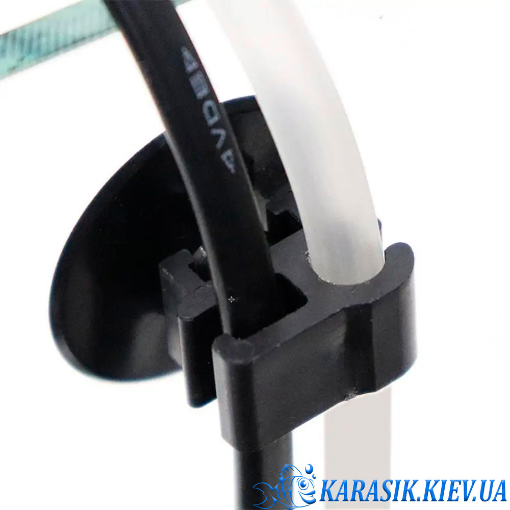 Karasik Kiev
