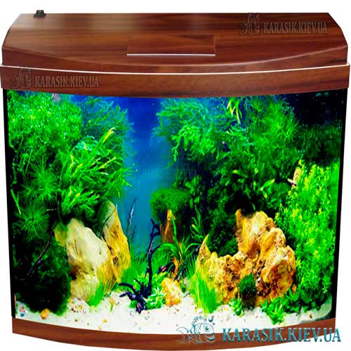 Aquarium oval walnut fon Karasik