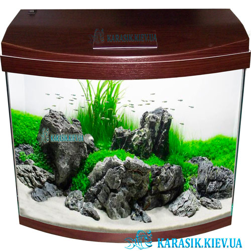 Aquarium oval walnut fon Karasik