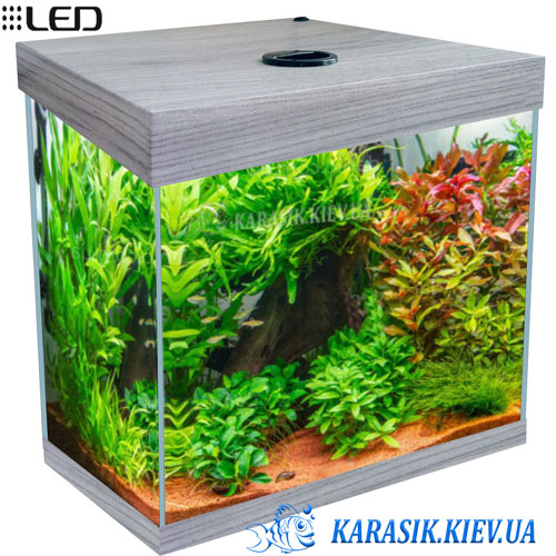 Аквариум RGB Wite 500