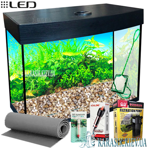 Aquarium Oval black