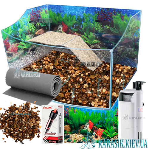 Auarium cherepaha 2