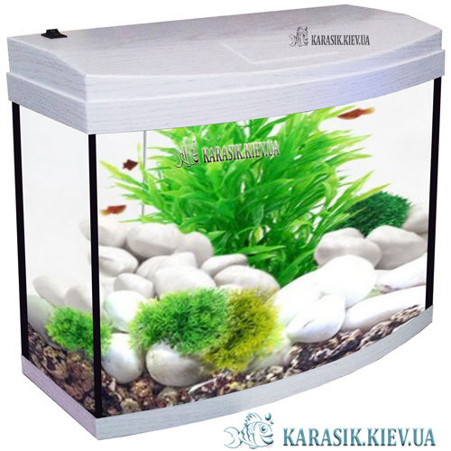 Aquarium Oval Dub Chamonix Karasik 3