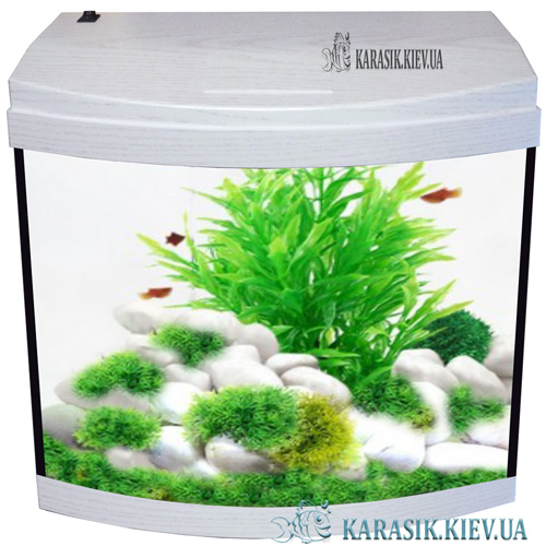 Aquarium Oval Dub Chamonix Karasik