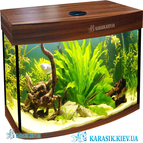 Akva Karasik Oval NUT