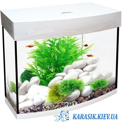 Akva Karasik Oval Wayt 2