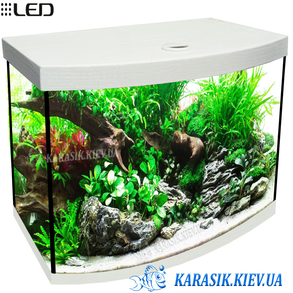 Aquarium oval with