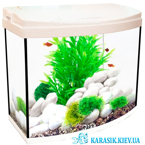 Aquarium oval with