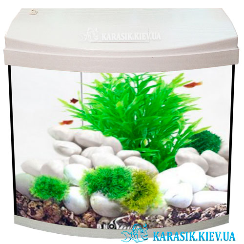 Aquarium oval with 0
