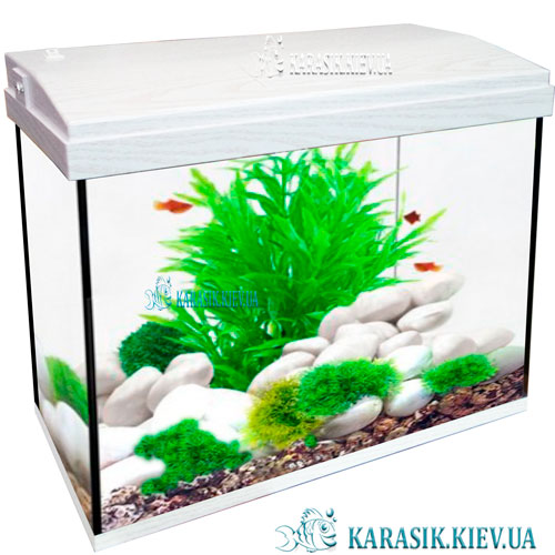 Aquarium rectangle DUB