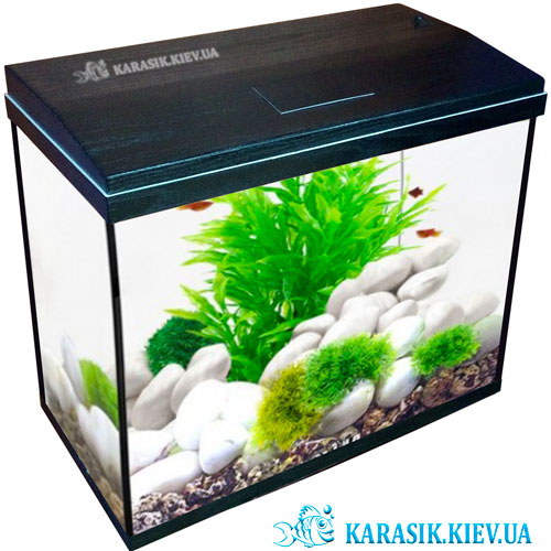 Aquarium Black Karasik