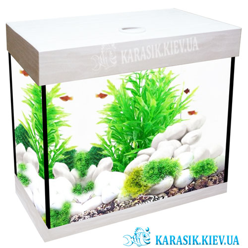 Akva Karasik Prmoyl Wayt