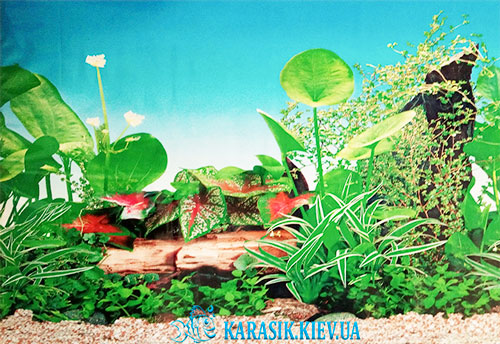 fon dlya akvariuma nature 495
