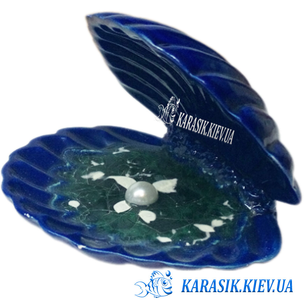 Mushla 0934