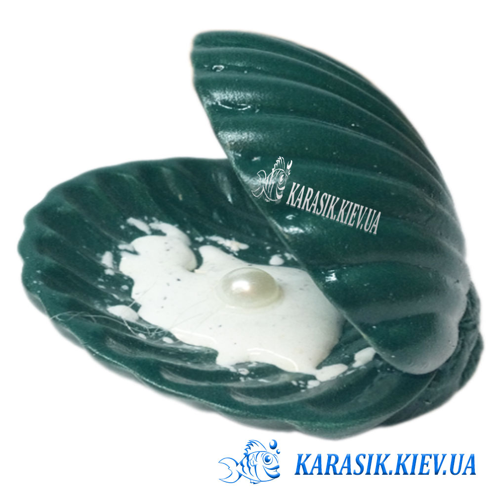 Mushla 0934