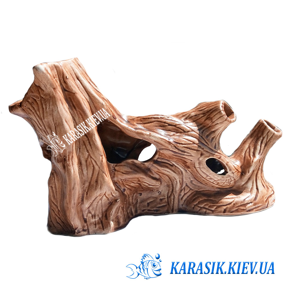Koren 1235