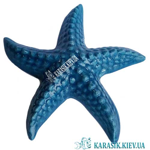 Zirka 604