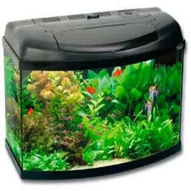 Купить Аквариум с Крышкой  недорого