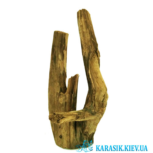 Коряга Натуральная в Аквариум  -  807