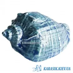 Аквариумная Керамика - Рапан Малый Синий