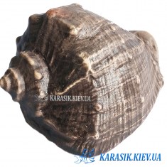 Красивый Замок для Аквариума - Аквариумный Декор