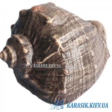 Красивый Замок для Аквариума - Аквариумный Декор