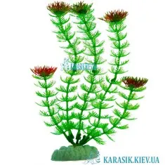 Искусственное Растение - 660 - 20 см.