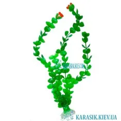 Искусственное Растение - 679  30 см.