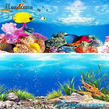 Аквариумный Двухсторонний Морское дно
