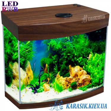Аквариум LED RWB Орех