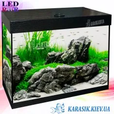 Аквариум LED RWB 55 л. Черный Прямой 50*30*39