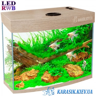 Аквариум LED Дуб Санта