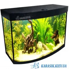 Аквариум О-80 LED Крышкой Овал 60*30*49 Черный