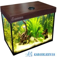 Аквариум A-35 с Крышкой LED Прямой 40*25*39 (Венге)