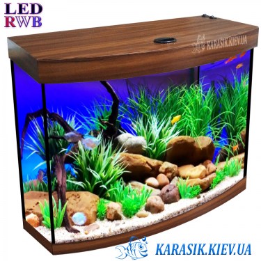 Аквариум Орех RWB