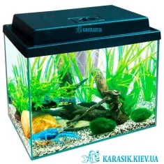 Акваріум з Кришкою LED 16 л. Прямий 30*20*25