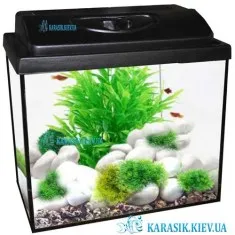 Аквариум с Крышкой 35 л. Прямой 40*25*35