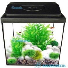 Aquarium-Black-New-Karasik-D286