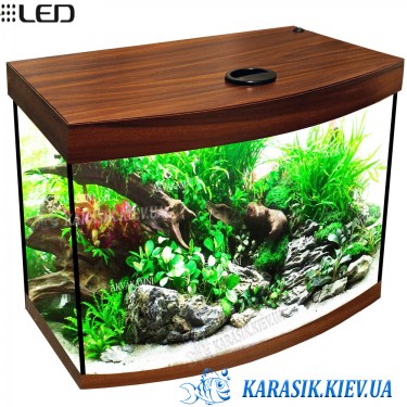 Аквариум  с Крышкой LED Овал Орех