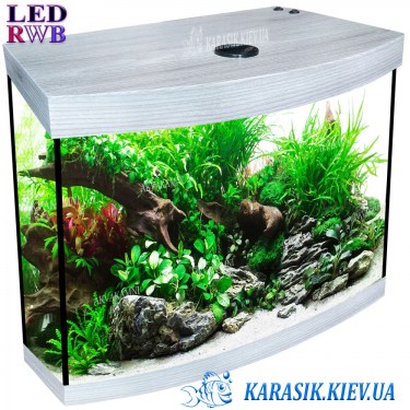 Акваріум Дуб Сірий