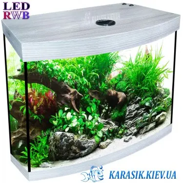 Акваріум Дуб Сірий