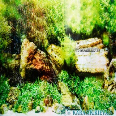 Аквариумный односторонний фон DB13 высота 40 см.