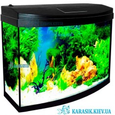 Аквариум с Крышкой О-15 LED овал 35*17*32 (Черный) - Karasik-Kiev-ua