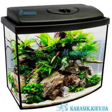 Аквариум с Крышкой 