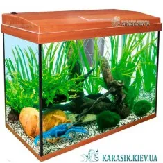 Аквариум с Крышкой A-25 LED прямой 40*20*34 (Яблоня)