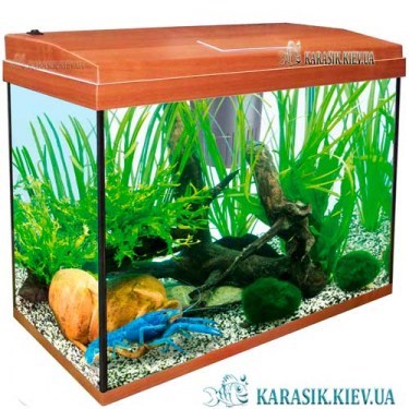 Аквариум с Крышкой A-25 LED прямой 40*20*34 (Яблоко)